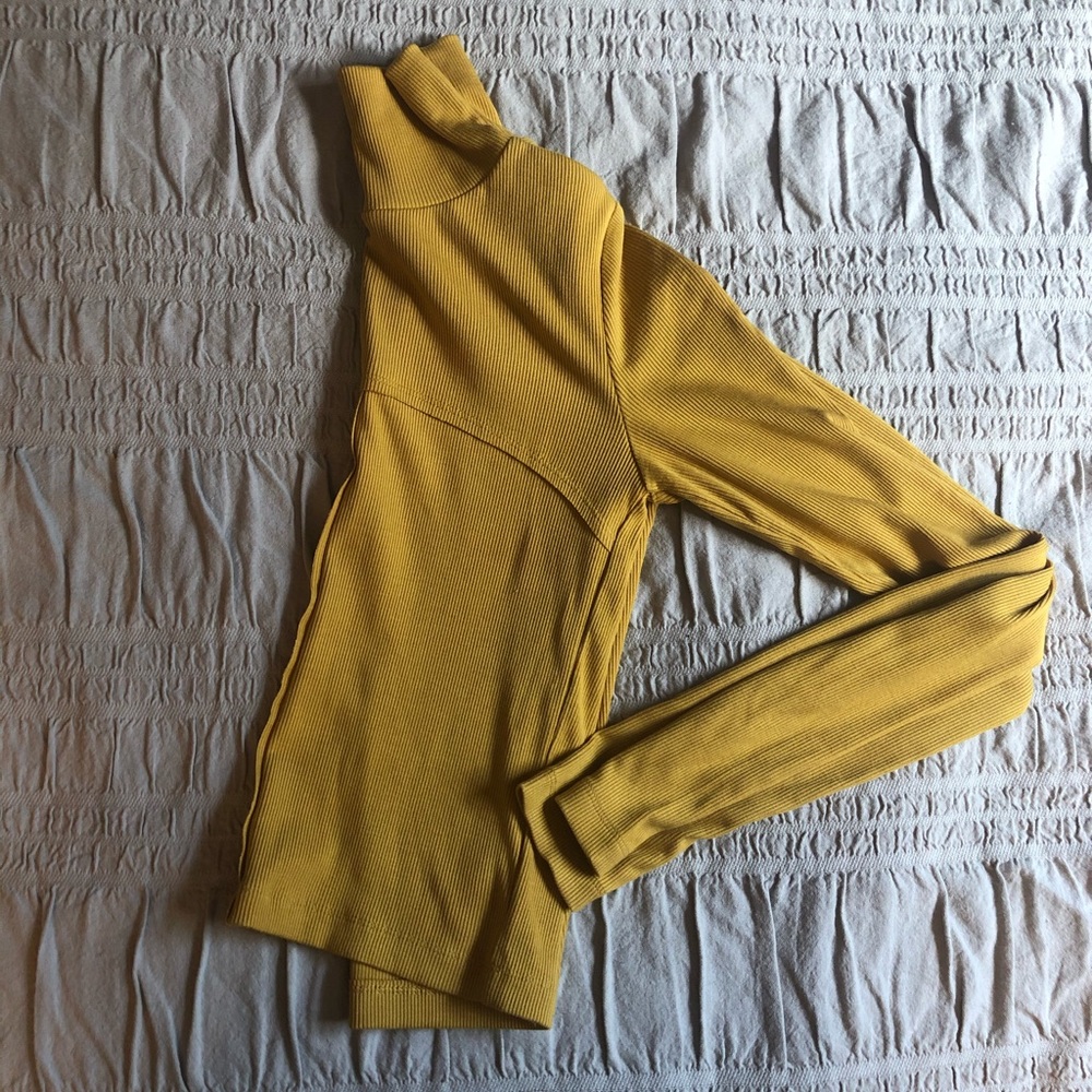 Aritzia Mock Neck Ribbed Cropped long sleeve